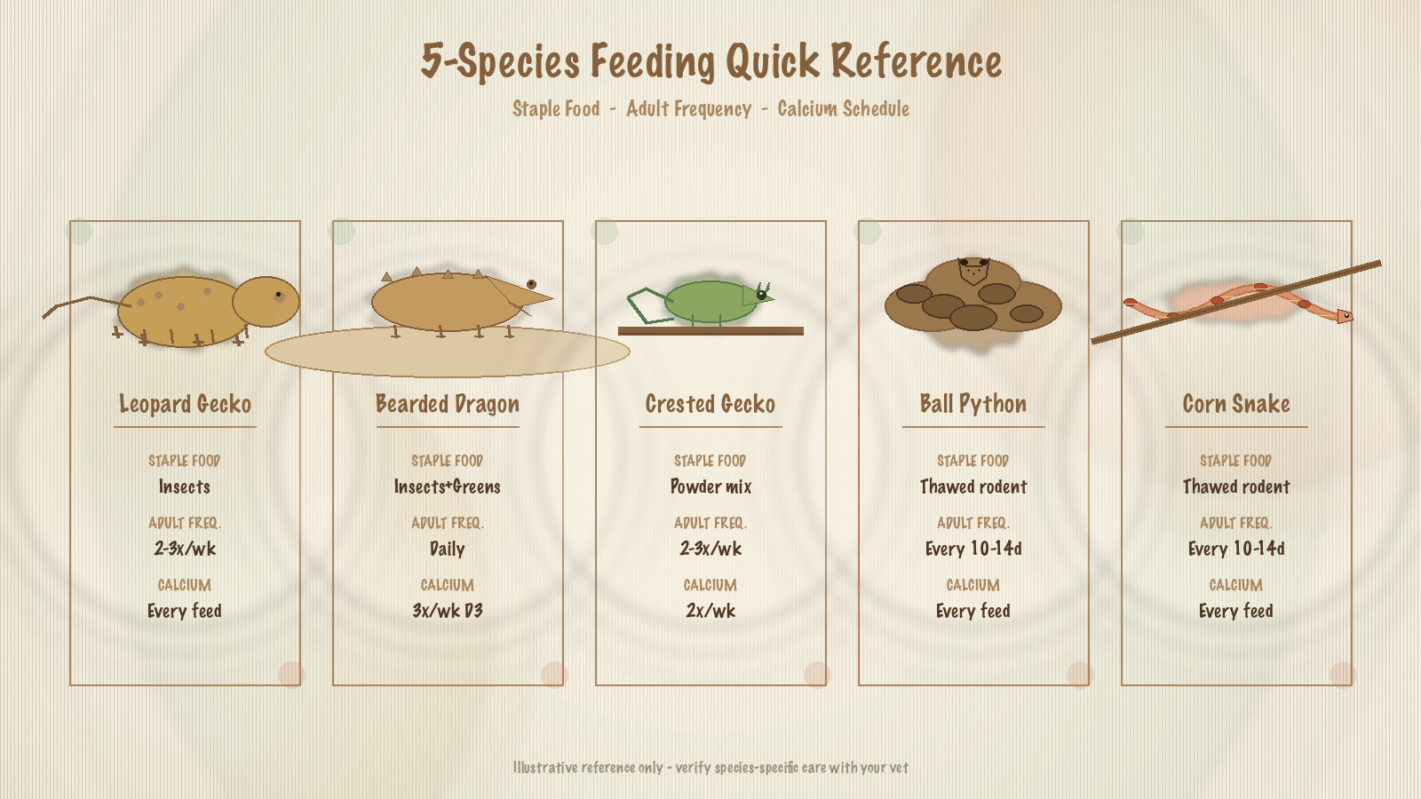5-species feeding reference chart with feeder insects, supplements, and a leopard gecko beside a dubia roach